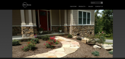 Snapshot of BMJ Stone